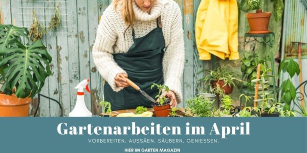 Im April werden Kompost und Gemüsebeet bearbeitet