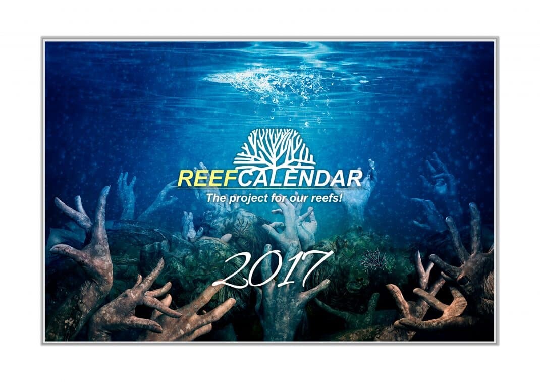 deckblatt reefcalendar