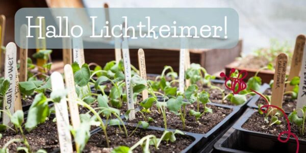 Lichtkeimer für Garten und Balkon – Ihr Weg zur lebendigen Natur!