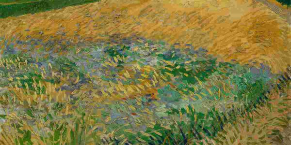 Amsterdam und das Van Gogh Museum