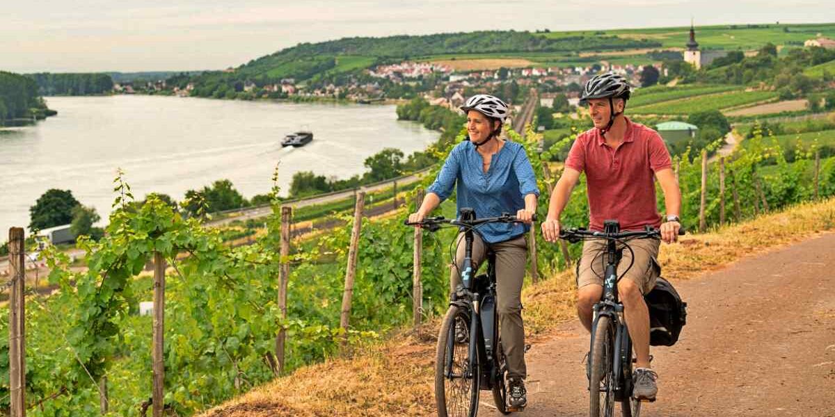 Genussradeln durch die Weinregion Rheinhessen