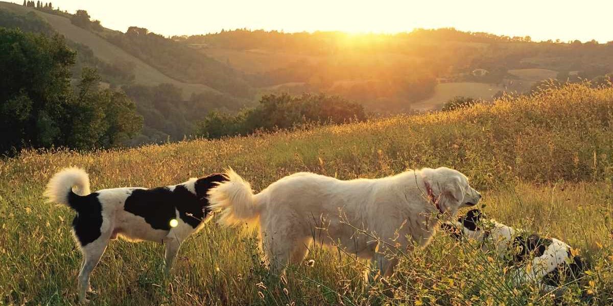 3 bewährte Schritte führen direkt in den Urlaub für Hand