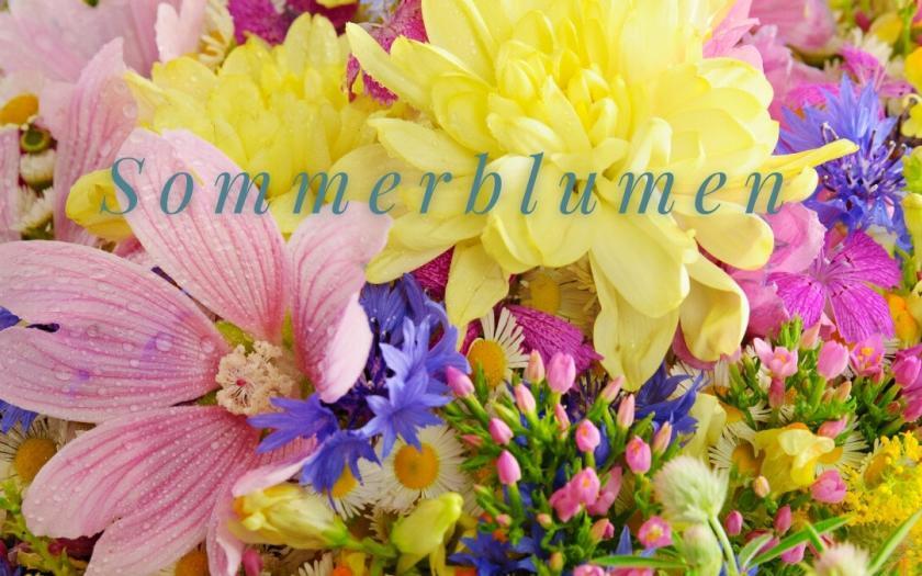 Blumen im garten, Sommerblumen, Garten Magazin, l4u