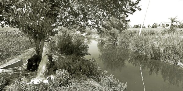 Das ägyptische Bewässerungssystem: So überlebt die Landwirtschaft