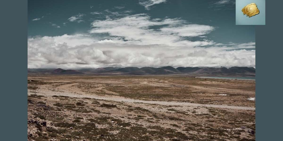 Filmklassiker: „In die Wildnis“ – Wenn Freiheit zur ultimativen Reise wird