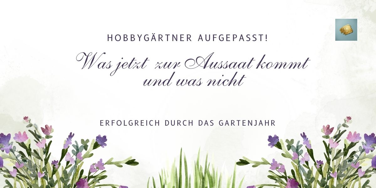 Gartenplanung Januar: Diese Samen bestellst Du jetzt